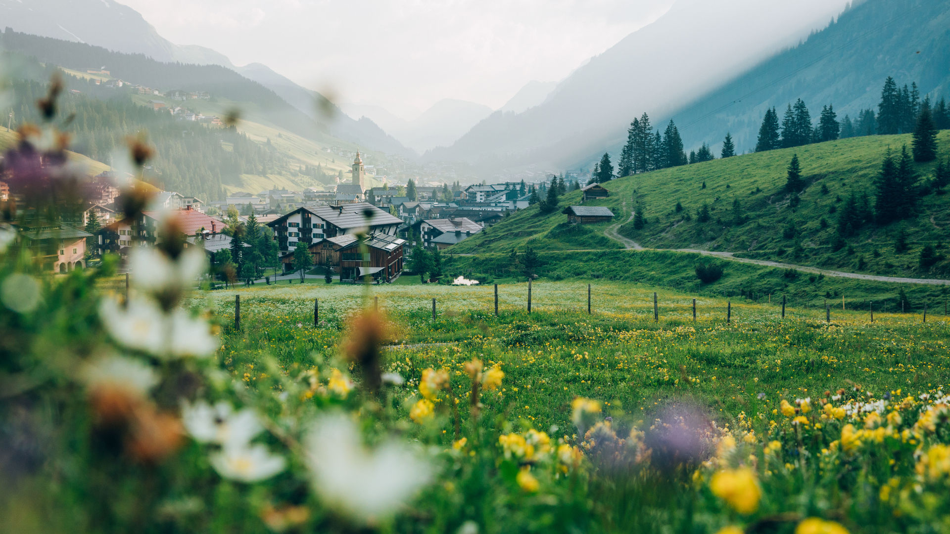Fruehling_LZTG_by_Daniel_Zangerl_18