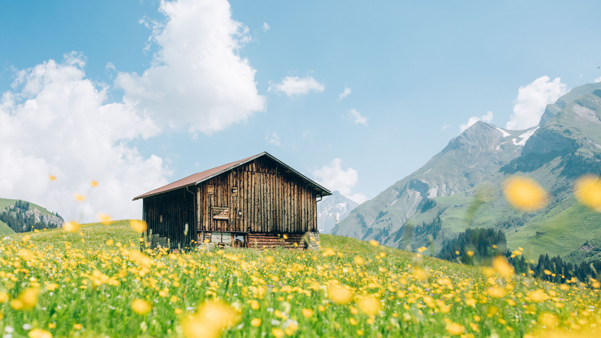 Fruehling_LZTG_by_Daniel_Zangerl_25