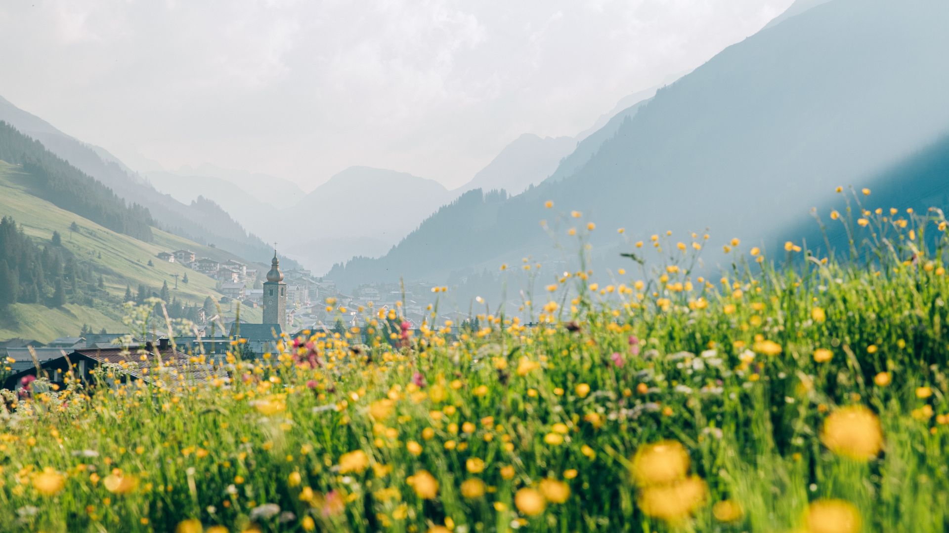 Fruehling_LZTG_by_Daniel_Zangerl_19