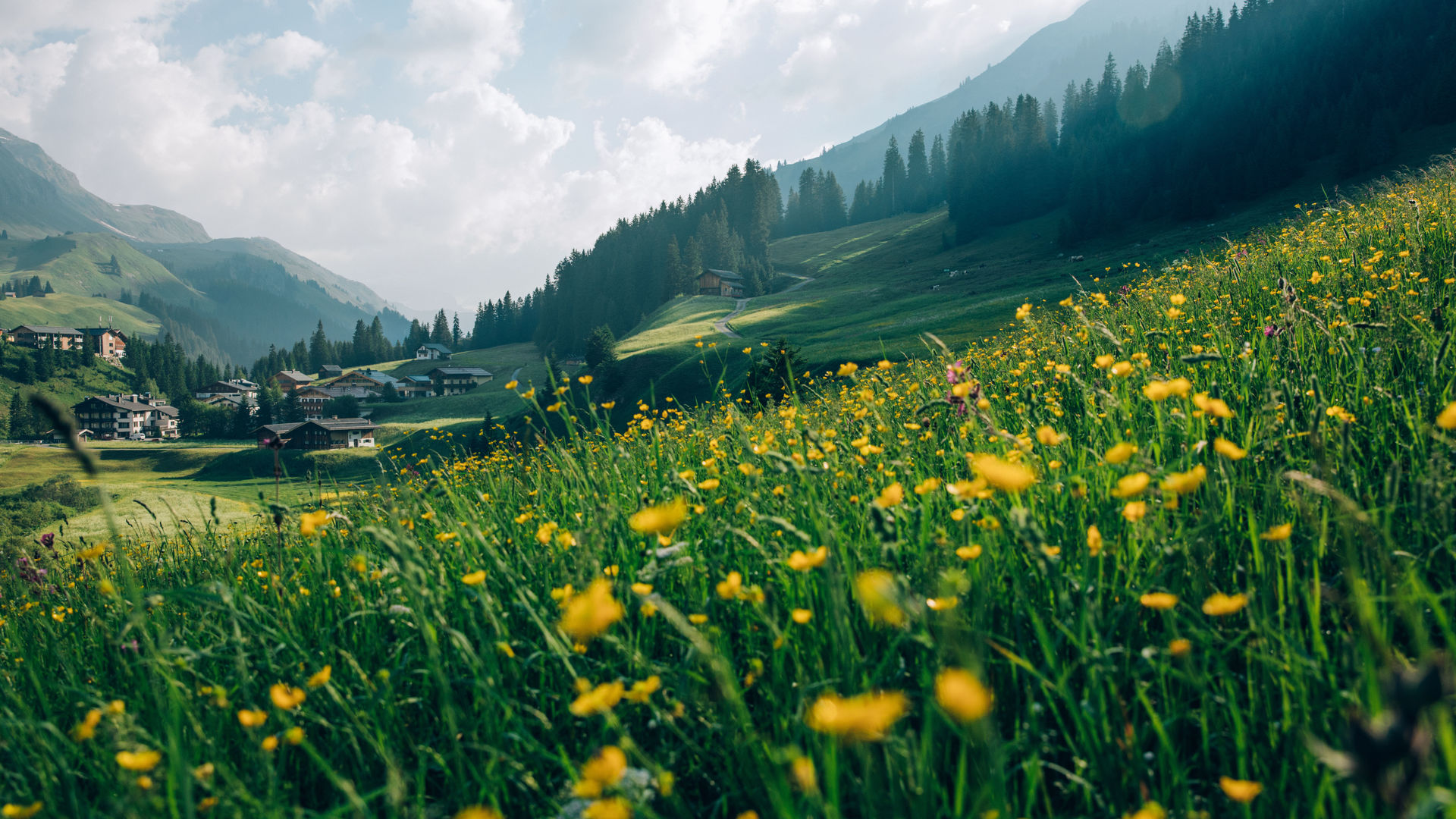 Fruehling_LZTG_by_Daniel_Zangerl_21