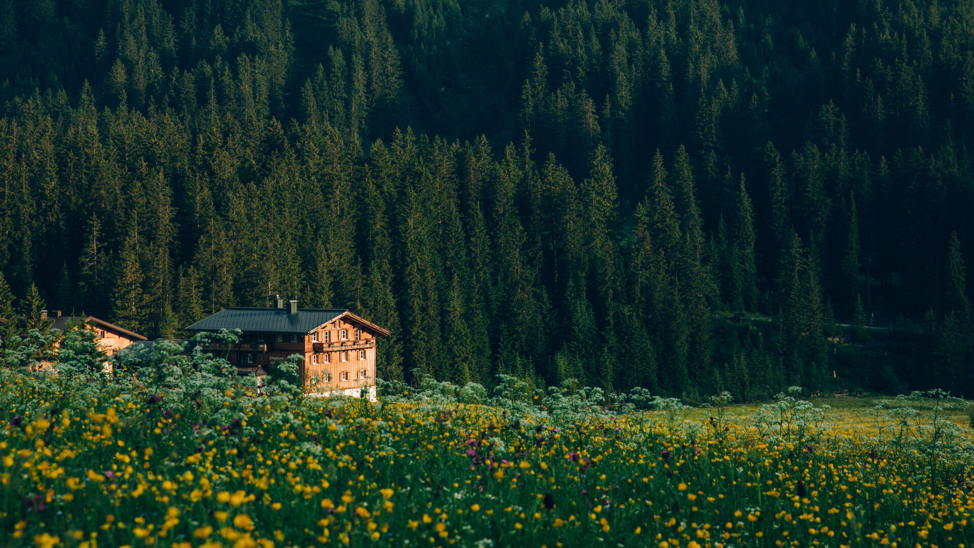 Fruehling_LZTG_by_Daniel_Zangerl_15