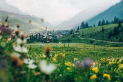 fruehling-lech-zuers-vorarlberg