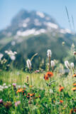 fruehling-lech-zuers-vorarlberg