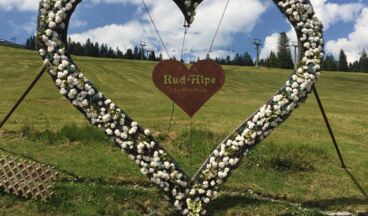 Summer on the Rud-Alpe, Image 3