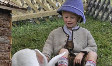 Summer on the Rud-Alpe, Image 8