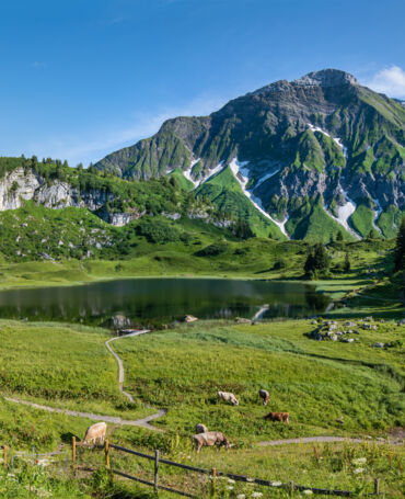 Naturjuwel Körbersee (c) Warth-Schröcken Tourismus_ Fotograf_Ratko Medienagentur - ratko.at_5.jpg