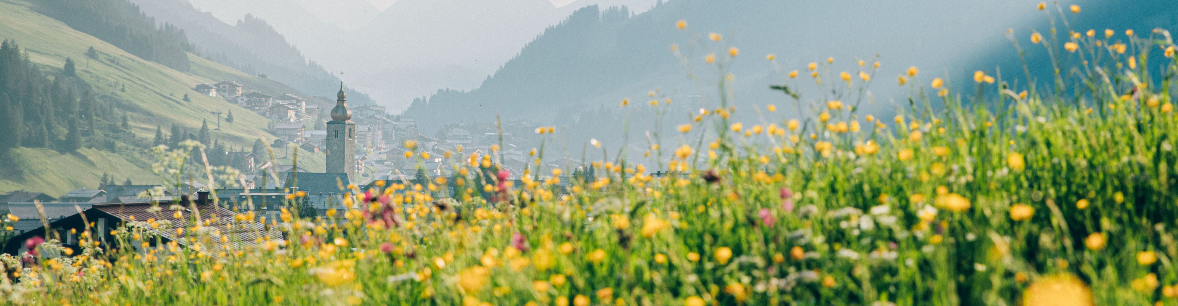 Fruehling_LZTG_by_Daniel_Zangerl_19