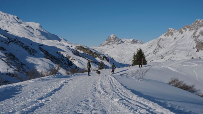 Hundeurlaub Lech Zürs Tourismus by Angelika Maier (68)