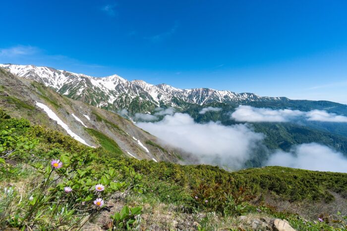 Hakuba Happo