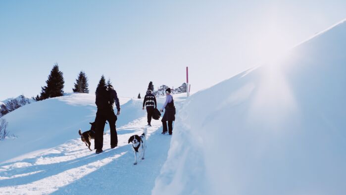 Familie und Freunde genießen Spaziergänge mit Hund in Lech - Hundeurlaub Lech Zürs Tourismus by Angelika Maier (14)