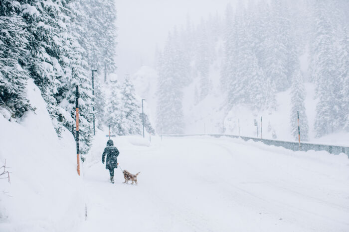 Winterliches Gassi gehen in Lech - Landschaft_LZTG_by_Daniel_Zangerl_web (30)