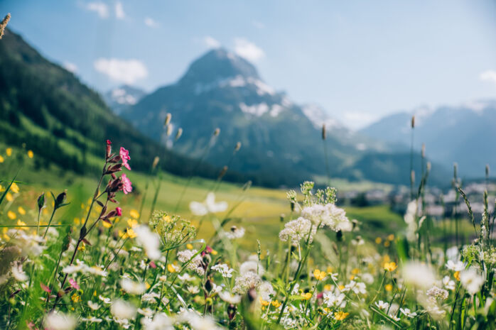 Fruehling-Lech-Zuers-am-Arlberg