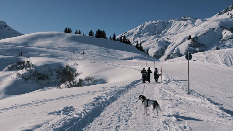 Hundeurlaub Lech Zürs Tourismus by Angelika Maier (12)