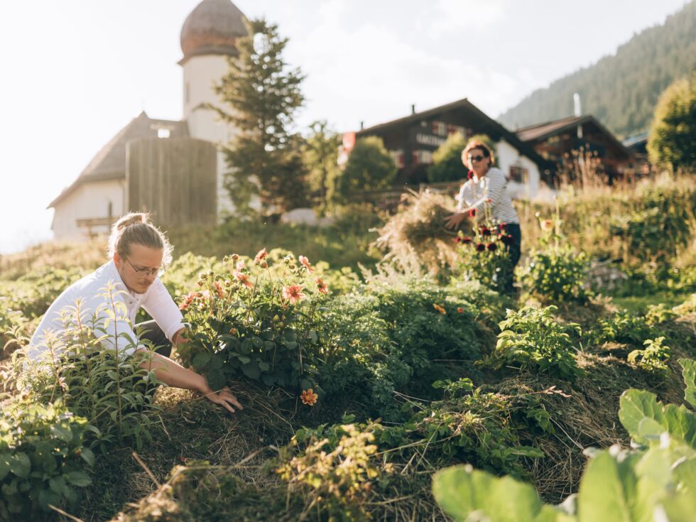 Rote_Wand_Garten_2023_LZTG_by_Dominic_Kummer_WEB (13)